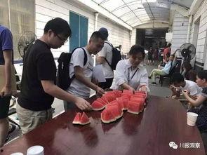 广州吃瓜群众图片,一图览尽人间百态