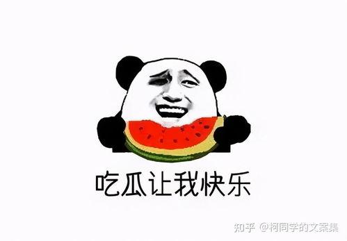 吃瓜 文案短句图片搞笑,搞笑文案短句图集