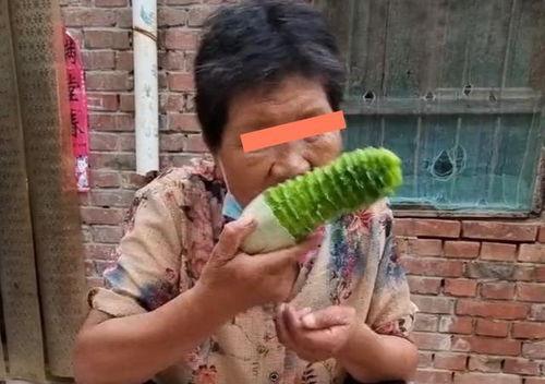 河南主播吃瓜,揭秘幕后故事与美食诱惑
