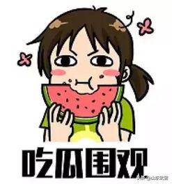 安心吃瓜2,揭秘娱乐圈背后的秘密与真相