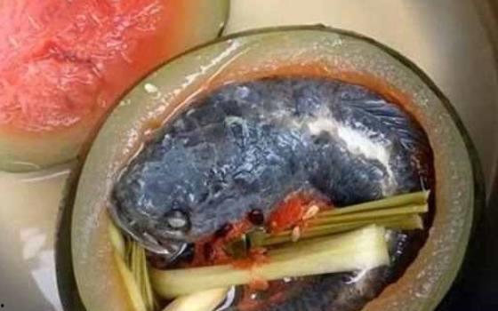 鱼吃蕃瓜不,不可思议的生态奇观揭秘