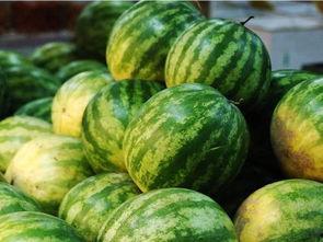 柯桥布市吃瓜,吃瓜群众的夏日狂欢