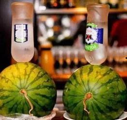 吃货大飞吃醉瓜,一场味蕾的狂欢盛宴