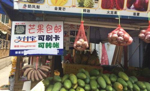 吃瓜群众的瓜摊淘宝店,一站式购物,尽享夏日清凉