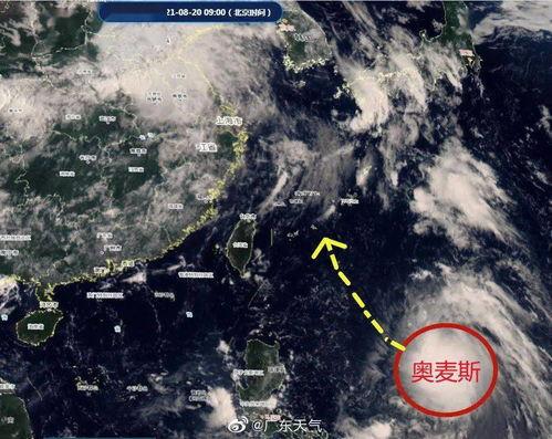 看台风吃瓜,一场别开生面的“看台风吃瓜”盛宴