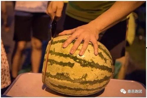 吃瓜大赛具体时间,吃瓜大赛精彩时刻回顾”