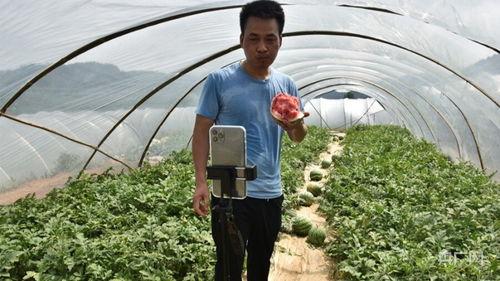 吃瓜群众刘大大,揭秘娱乐圈幕后故事