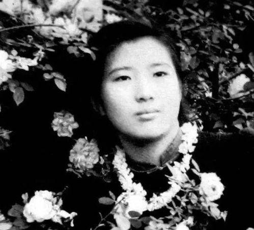 吃瓜王芃芃,揭秘娱乐圈幕后故事