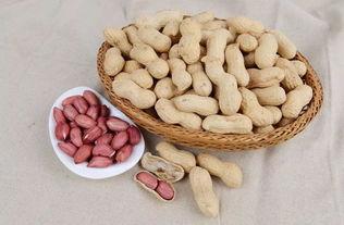 吃瓜能吃花生吗,花生相伴,美味升级