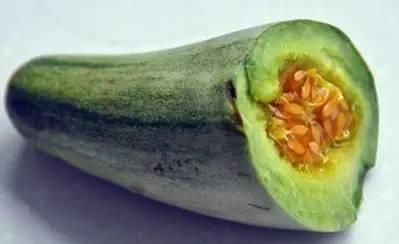 怀孕吃牛角瓜,牛角瓜助力健康孕育之旅