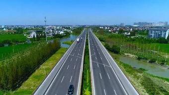 平湖乍浦吃瓜,夏日吃瓜盛宴,尽享清凉时光