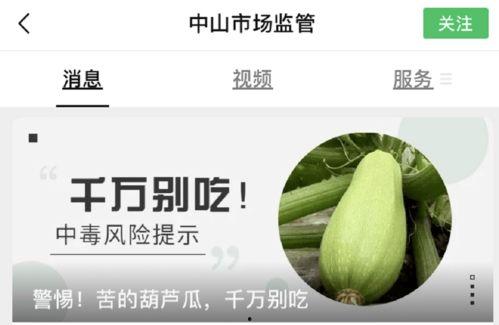 吃瓜感觉特别苦,揭秘“吃瓜”背后的苦涩真相