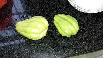 兔儿瓜怎样吃,解锁美味新体验