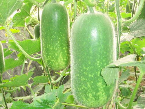 大舒然吃瓜,揭秘娱乐圈幕后故事