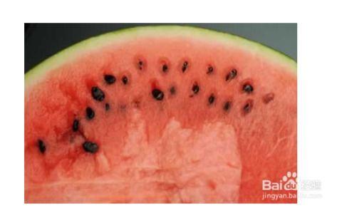 北方吃瓜图片大全,吃瓜图鉴大盘点