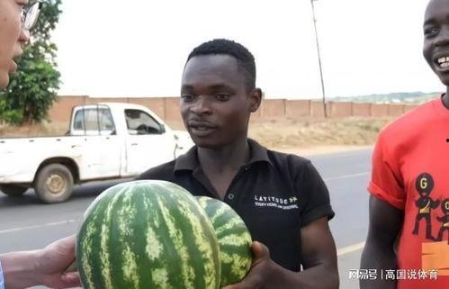 吃篮球的瓜,揭秘吃篮球的瓜