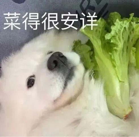 暧昧期吃瓜,揭秘那些隐藏在甜蜜背后的秘密