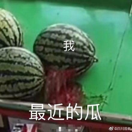 全民吃瓜头像图,图解网络潮流新风向
