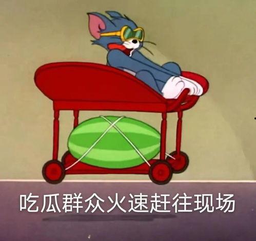 应援吃瓜,揭秘娱乐圈幕后风云