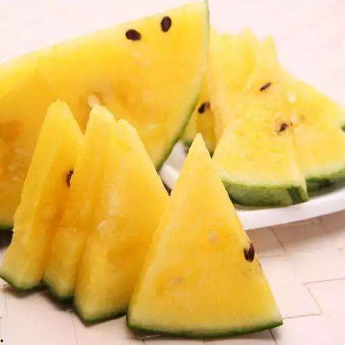 天津九中吃瓜,校园风云背后的真相揭秘