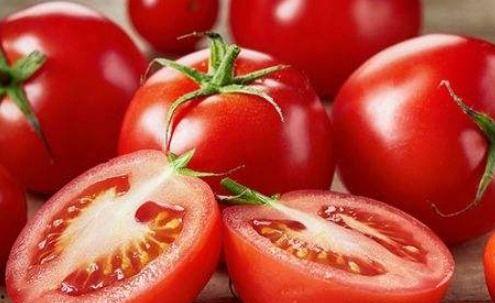 吃王瓜可以吃西红柿吗,探究能否共享美味