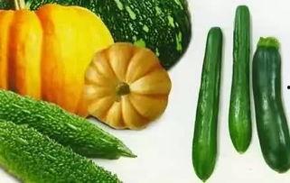 几年可以吃瓜,笑谈世间百态