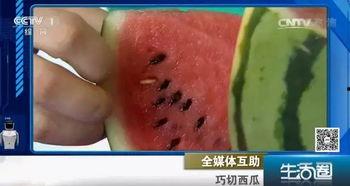 我吃瓜不吐籽,揭秘娱乐圈的甜蜜与苦涩