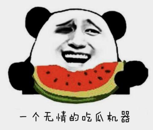 什么瓜我都吃,从明星八卦到时事热点,我都能一网打尽