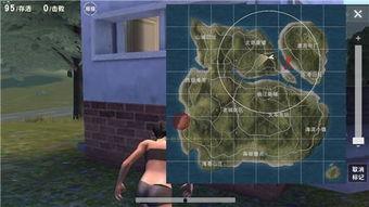 吃鸡最新吃瓜点,这场风波背后的真相与反思