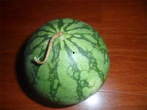 老苏吃瓜,揭秘娱乐圈那些不为人知的幕后故事