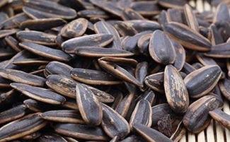 吃瓜子的瓜有哪些,揭秘吃瓜子的瓜种奥秘