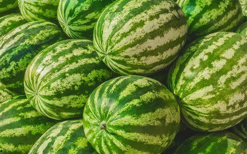 在哪里可以吃瓜,畅享夏日吃瓜盛宴