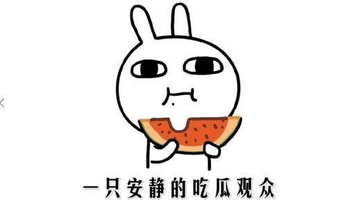 吃瓜网站抖音,揭秘热门事件背后的真相