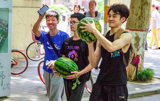 校校吃瓜,揭秘校园里的那些“瓜”