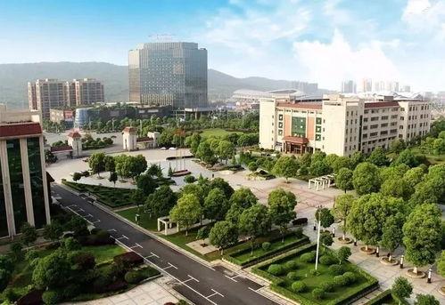 湘南学院吃瓜事件,校园风波背后的真相揭秘