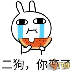 天天发吃瓜表情,笑看娱乐圈风云变幻